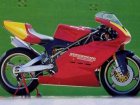 Ducati Supermono Desmoquattro